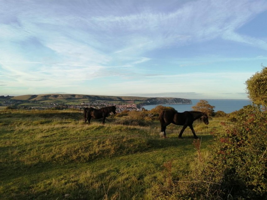 Images for Panorama Road, Swanage